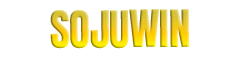 SOJUWIN